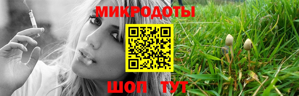Галлюциногенные грибы Cubensis Чусовой